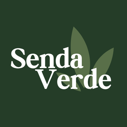 Próximo Lanzamiento echoo (LIQUIDACION ENERO)